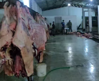LA PRIVATIZACIÓN DEL MATADERO MUNICIPAL
